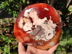 Polished Large Carnelian Agate Gemstone Bowl x 1 From Madagascar - Toprock Gemstones and Minerals 