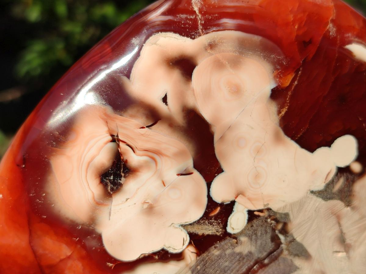Polished Large Carnelian Agate Gemstone Bowl x 1 From Madagascar - Toprock Gemstones and Minerals 