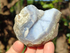 Natural Blue Lace Agate Geodes x 25 From Nsanje, Malawi - Toprock Gemstones and Minerals 