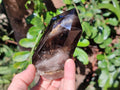 Polished Clear Smokey Quartz and Morion Smokey Quartz Crystals x 4 From Madagascar - Toprock Gemstones and Minerals 