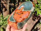 Polished Polychrome Jasper Standing Display Pieces x 2 From NW Coast, Madagascar - Toprock Gemstones and Minerals 