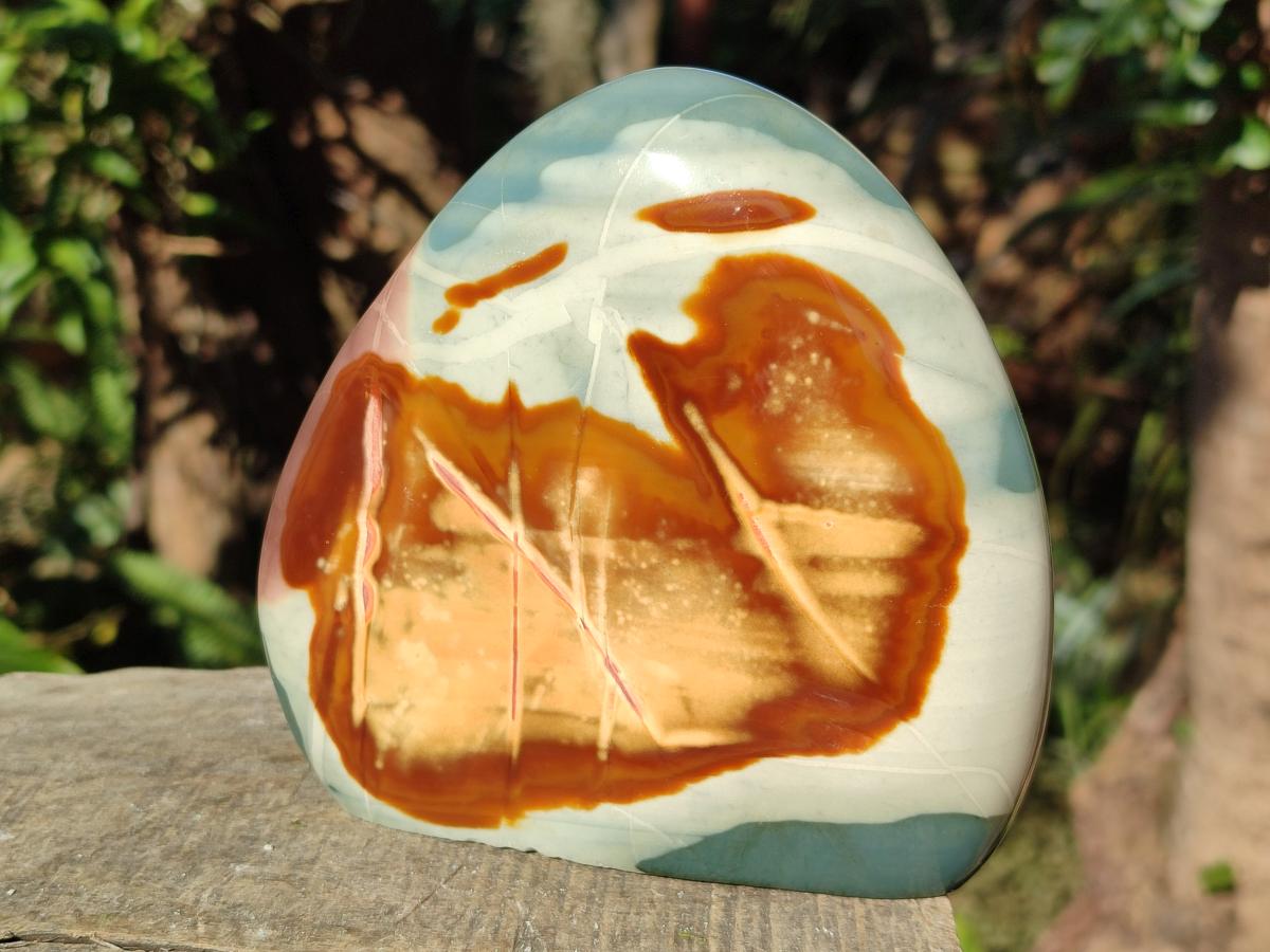 Polished Polychrome Jasper Standing Display Pieces x 2 From NW Coast, Madagascar - Toprock Gemstones and Minerals 