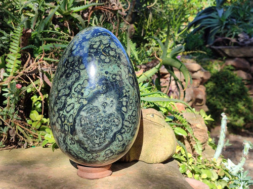 Polished XL Stromatolite Egg x 1 From Katsepy, Madagascar - Toprock Gemstones and Minerals 