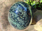 Polished XL Stromatolite Egg x 1 From Katsepy, Madagascar - Toprock Gemstones and Minerals 