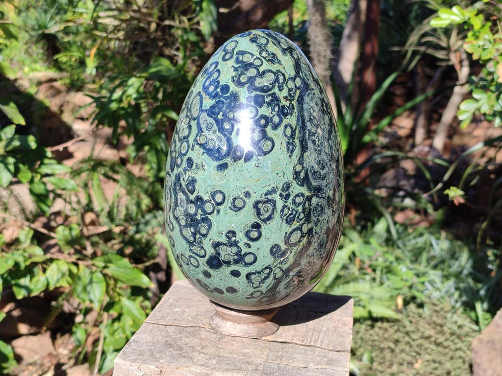 Polished XL Stromatolite Egg x 1 From Katsepy, Madagascar - Toprock Gemstones and Minerals 