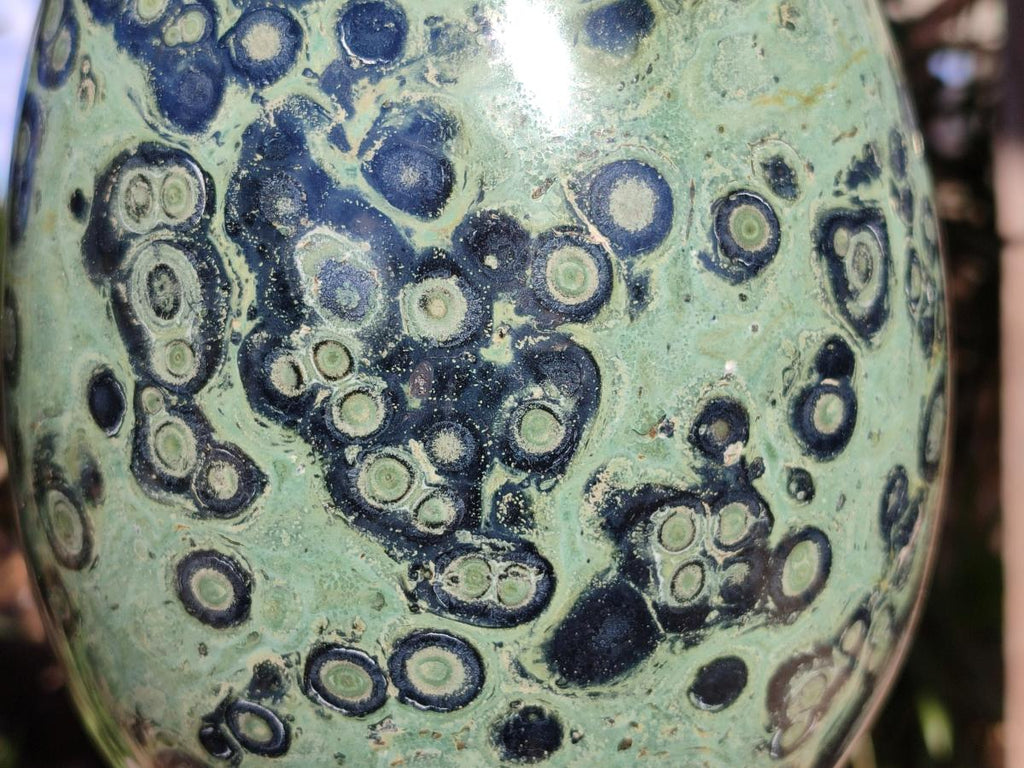 Polished XL Stromatolite Egg x 1 From Katsepy, Madagascar - Toprock Gemstones and Minerals 