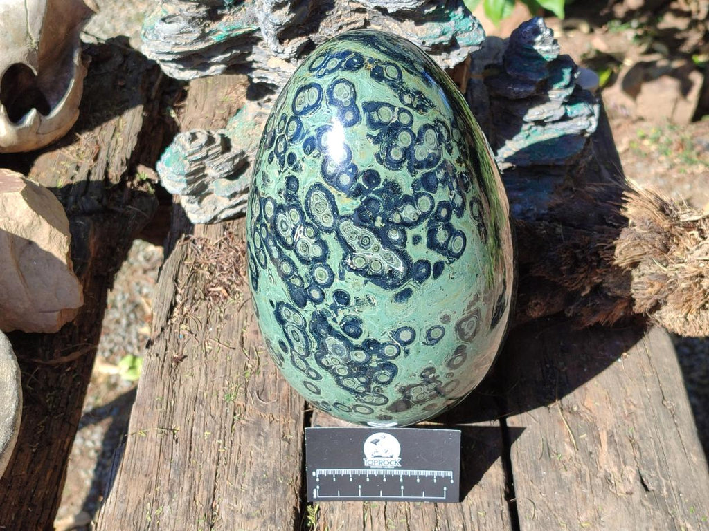 Polished XL Stromatolite Egg x 1 From Katsepy, Madagascar - Toprock Gemstones and Minerals 