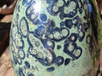 Polished XL Stromatolite Egg x 1 From Katsepy, Madagascar - Toprock Gemstones and Minerals 