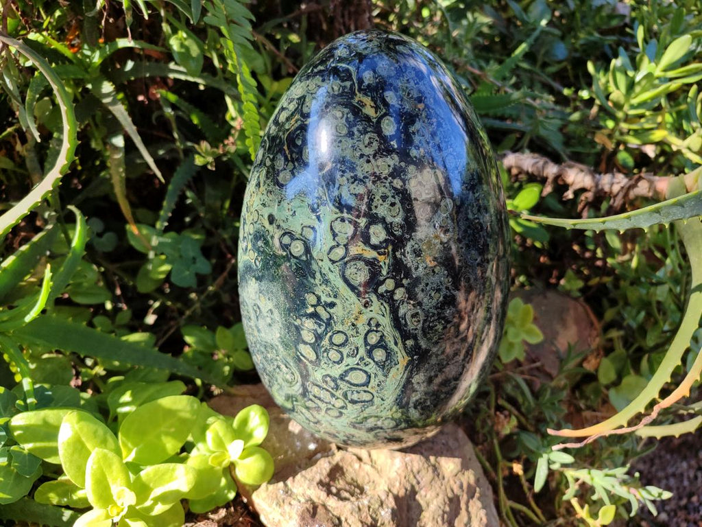Polished XL Stromatolite Egg x 1 From Katsepy, Madagascar - Toprock Gemstones and Minerals 