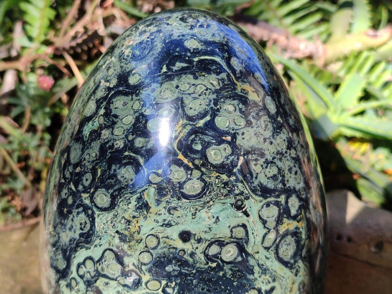 Polished XL Stromatolite Egg x 1 From Katsepy, Madagascar - Toprock Gemstones and Minerals 