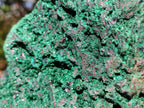 Natural Cuprite and Malachite x 1 From Mashamba West Mine, Congo - Toprock Gemstones and Minerals 