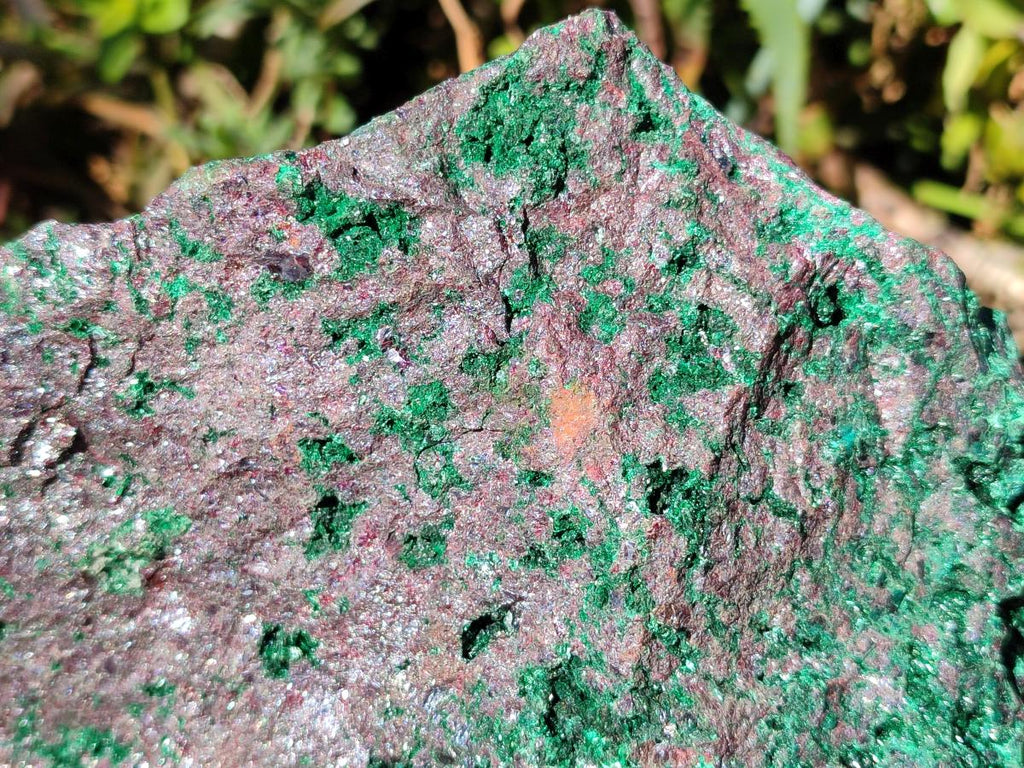 Natural Cuprite and Malachite x 1 From Mashamba West Mine, Congo - Toprock Gemstones and Minerals 