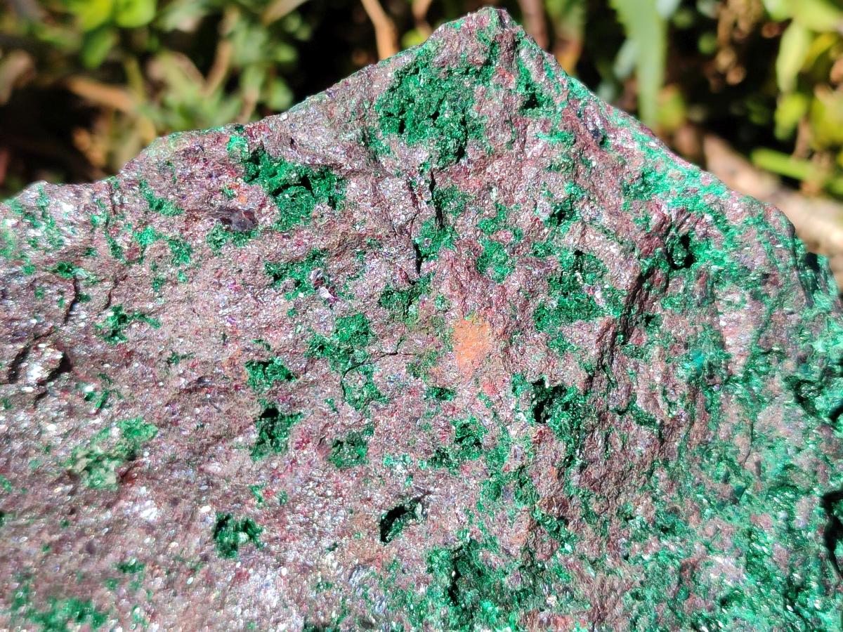 Natural Cuprite and Malachite x 1 From Mashamba West Mine, Congo - Toprock Gemstones and Minerals 