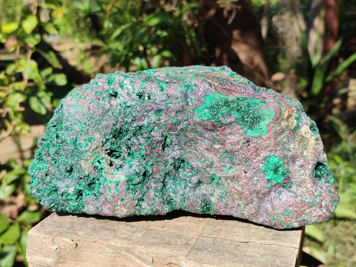 Natural Cuprite and Malachite x 1 From Mashamba West Mine, Congo - Toprock Gemstones and Minerals 