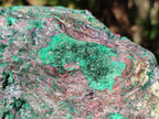 Natural Cuprite and Malachite x 1 From Mashamba West Mine, Congo - Toprock Gemstones and Minerals 