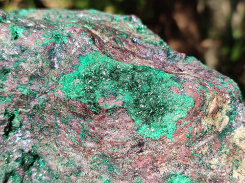 Natural Cuprite and Malachite x 1 From Mashamba West Mine, Congo - Toprock Gemstones and Minerals 