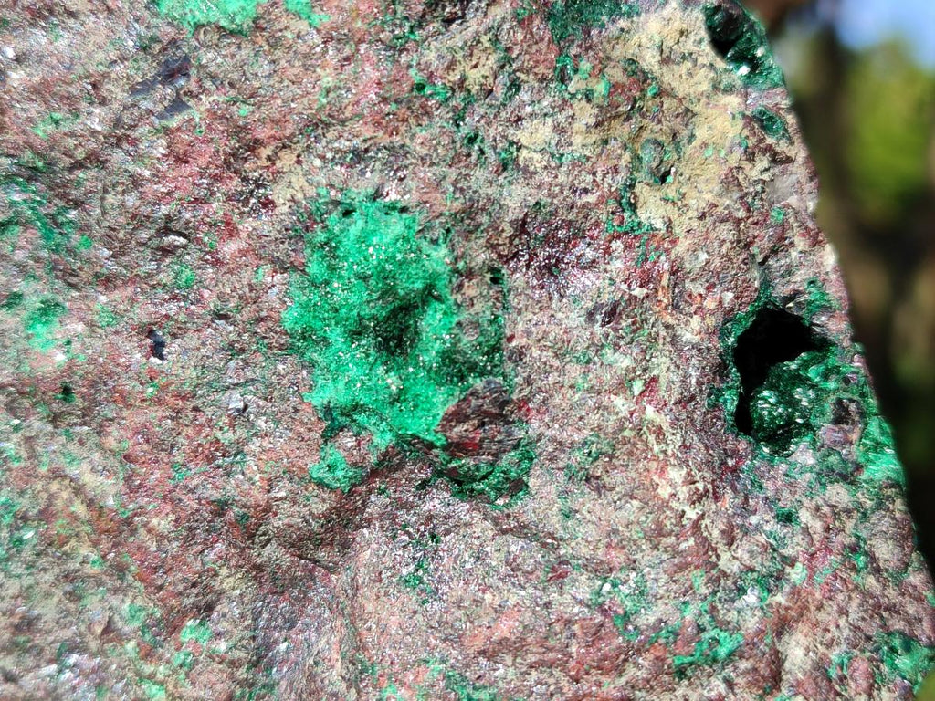 Natural Cuprite and Malachite x 1 From Mashamba West Mine, Congo - Toprock Gemstones and Minerals 