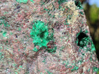 Natural Cuprite and Malachite x 1 From Mashamba West Mine, Congo - Toprock Gemstones and Minerals 