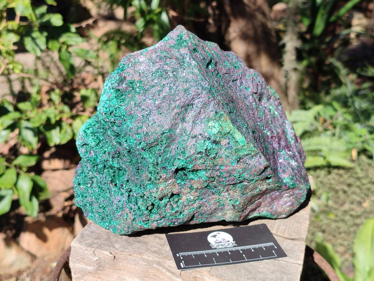 Natural Cuprite and Malachite x 1 From Mashamba West Mine, Congo - Toprock Gemstones and Minerals 