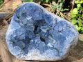 Natural Large Blue Celestite Geode Specimen x 1 From Sakoany, Madagascar - Toprock Gemstones and Minerals 
