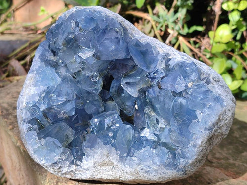 Natural Large Blue Celestite Geode Specimen x 1 From Sakoany, Madagascar - Toprock Gemstones and Minerals 