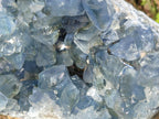 Natural Large Blue Celestite Geode Specimen x 1 From Sakoany, Madagascar - Toprock Gemstones and Minerals 