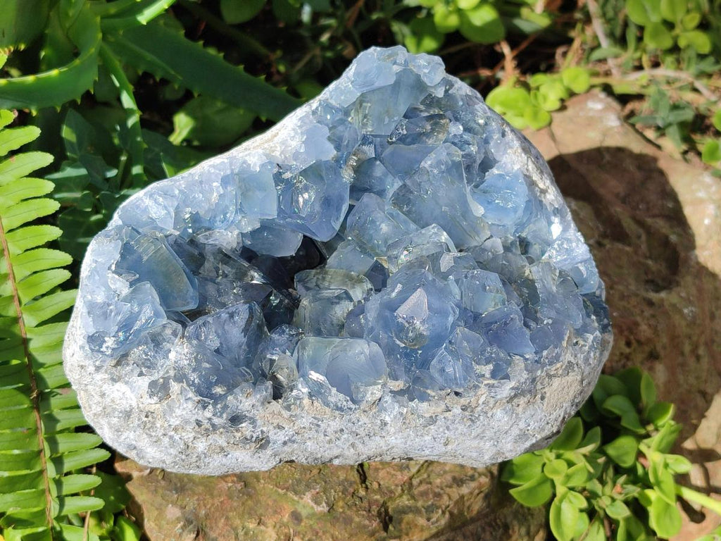 Natural Large Blue Celestite Geode Specimen x 1 From Sakoany, Madagascar - Toprock Gemstones and Minerals 