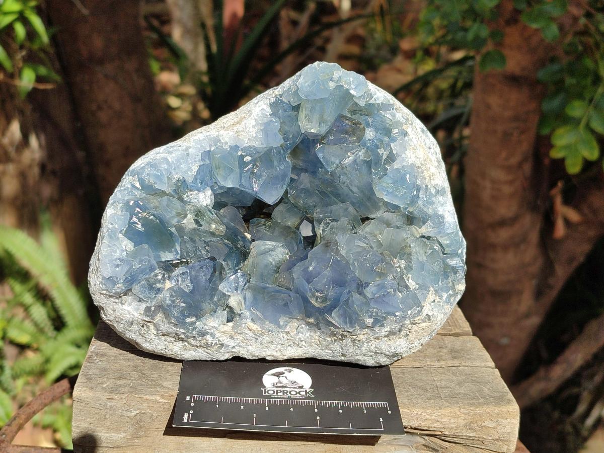 Natural Large Blue Celestite Geode Specimen x 1 From Sakoany, Madagascar - Toprock Gemstones and Minerals 