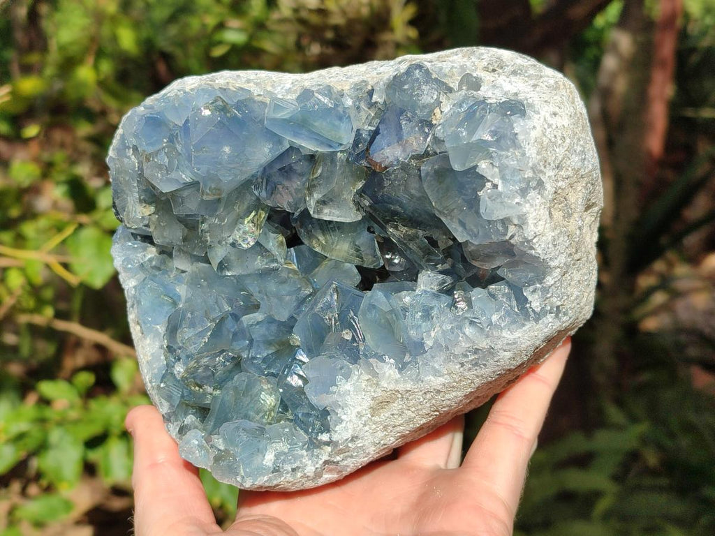 Natural Large Blue Celestite Geode Specimen x 1 From Sakoany, Madagascar - Toprock Gemstones and Minerals 