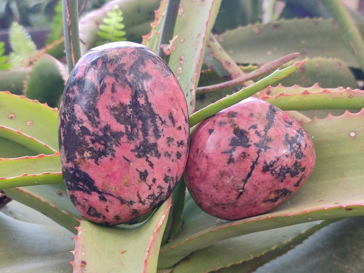 Natural and Polished Set of Rhodonite Cobbed Specimens and Free Forms x 6 From Rhusinga, Zimbabwe - Toprock Gemstones and Minerals 