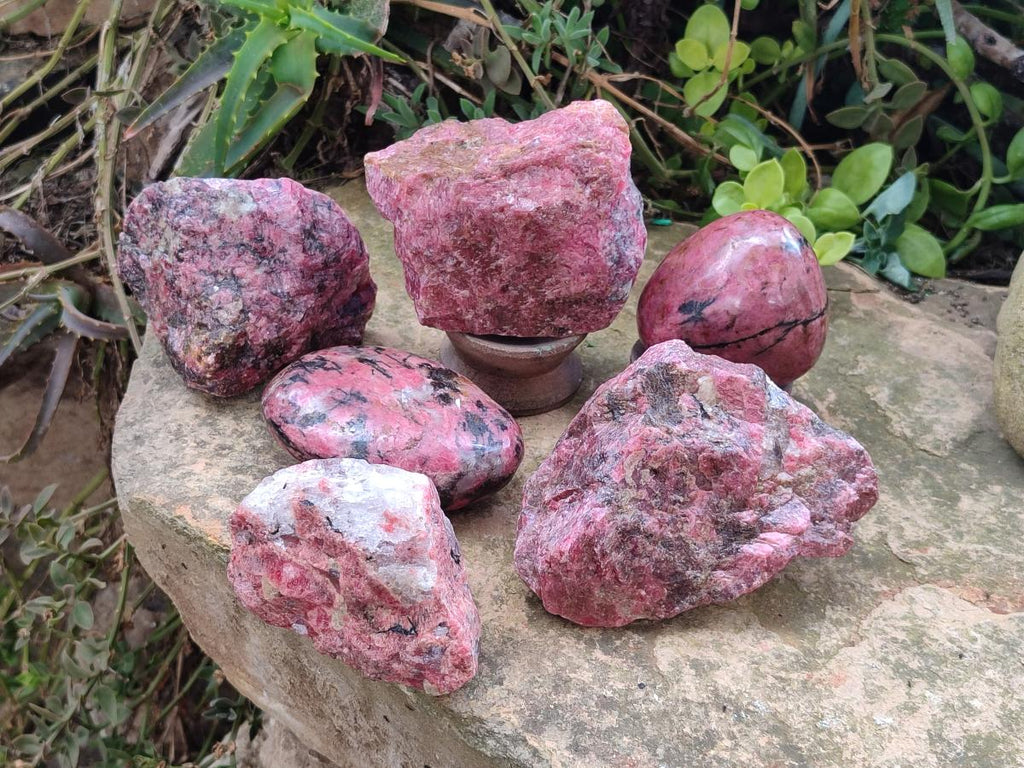 Natural and Polished Set of Rhodonite Cobbed Specimens and Free Forms x 6 From Rhusinga, Zimbabwe - Toprock Gemstones and Minerals 
