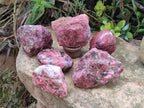 Natural and Polished Set of Rhodonite Cobbed Specimens and Free Forms x 6 From Rhusinga, Zimbabwe - Toprock Gemstones and Minerals 
