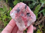 Natural and Polished Set of Rhodonite Cobbed Specimens and Free Forms x 6 From Rhusinga, Zimbabwe - Toprock Gemstones and Minerals 