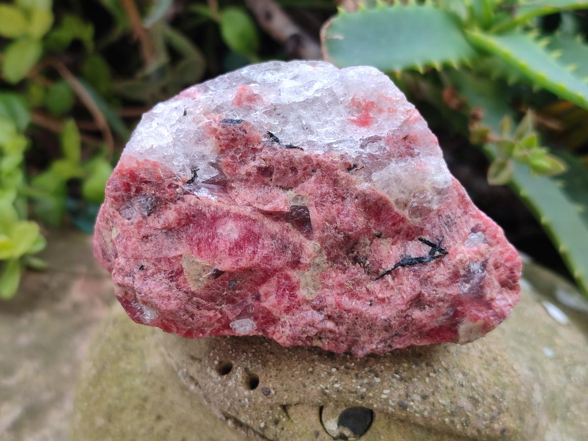 Natural and Polished Set of Rhodonite Cobbed Specimens and Free Forms x 6 From Rhusinga, Zimbabwe - Toprock Gemstones and Minerals 