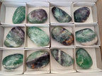 Polished Watermelon Fluorite Palm Stones x 12 From Uis, Namibia - Toprock Gemstones and Minerals 