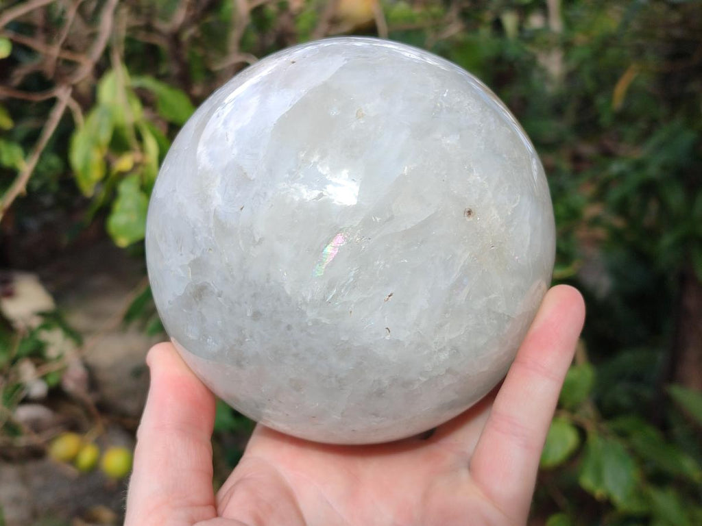 Polished Large Banded Agate Spheres x 2 From Madagascar - Toprock Gemstones and Minerals 