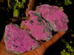 Natural Salrose Cobaltoan Dolomite Specimens x 12 From Kakanda, Congo - Toprock Gemstones and Minerals 