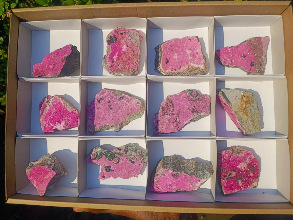 Natural Salrose Cobaltoan Dolomite Specimens x 12 From Kakanda, Congo - Toprock Gemstones and Minerals 