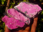 Natural Salrose Cobaltoan Dolomite Specimens x 12 From Kakanda, Congo - Toprock Gemstones and Minerals 