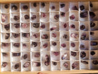 Polished Small Dark Purple Amethyst Crystals x 70 From Akansobe, Madagascar - Toprock Gemstones and Minerals 