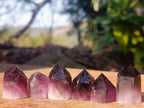 Polished Small Dark Purple Amethyst Crystals x 70 From Akansobe, Madagascar - Toprock Gemstones and Minerals 