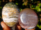 Polished Rare Ocean Jasper Galets x 24 From Northwest Coast, Madagascar - Toprock Gemstones and Minerals 