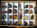 Polished Rare Ocean Jasper Galets x 24 From Northwest Coast, Madagascar - Toprock Gemstones and Minerals 