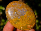 Polished Rare Ocean Jasper Galets x 24 From Northwest Coast, Madagascar - Toprock Gemstones and Minerals 