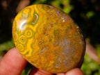 Polished Rare Ocean Jasper Galets x 24 From Northwest Coast, Madagascar - Toprock Gemstones and Minerals 