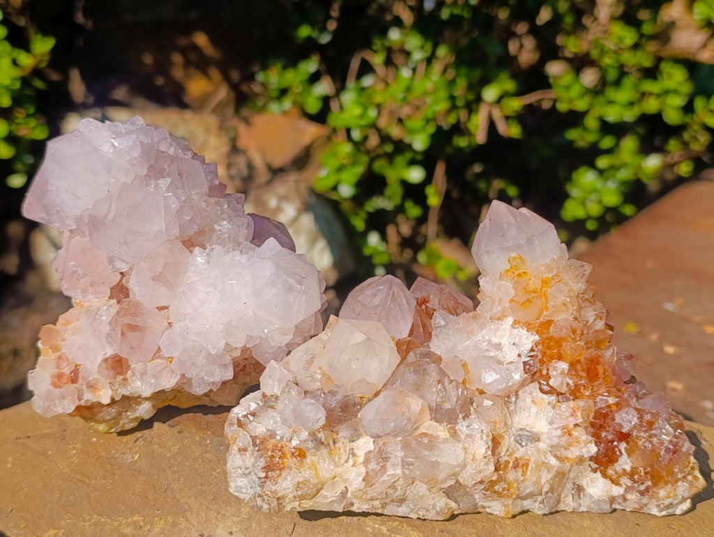 Natural Cabinet Sized Spirit Quartz Clusters x 3 From Boekenhouthoek, South Africa - Toprock Gemstones and Minerals 