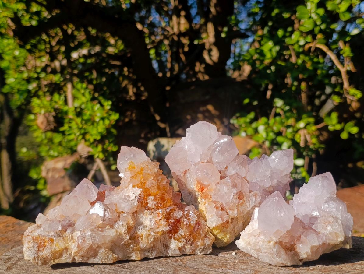 Natural Cabinet Sized Spirit Quartz Clusters x 3 From Boekenhouthoek, South Africa - Toprock Gemstones and Minerals 