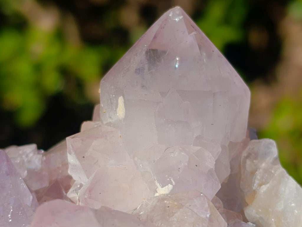 Natural Cabinet Sized Spirit Quartz Clusters x 3 From Boekenhouthoek, South Africa - Toprock Gemstones and Minerals 