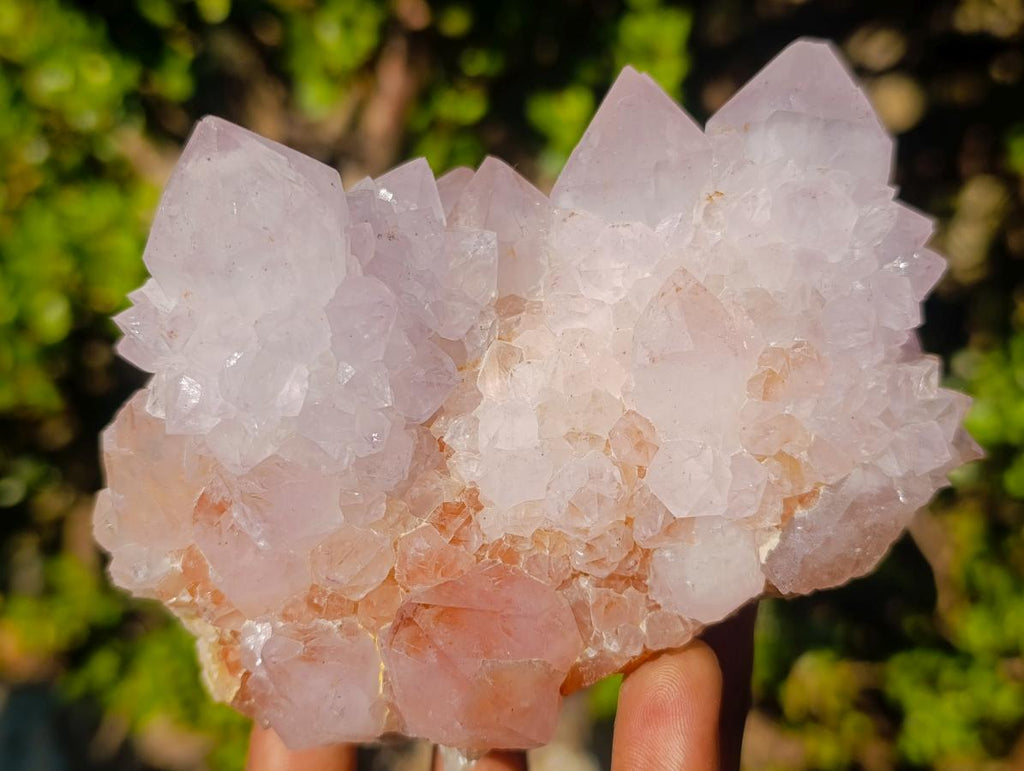 Natural Cabinet Sized Spirit Quartz Clusters x 3 From Boekenhouthoek, South Africa - Toprock Gemstones and Minerals 