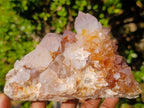 Natural Cabinet Sized Spirit Quartz Clusters x 3 From Boekenhouthoek, South Africa - Toprock Gemstones and Minerals 
